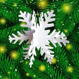 Three-dimensional Snowflake String (2pcs)